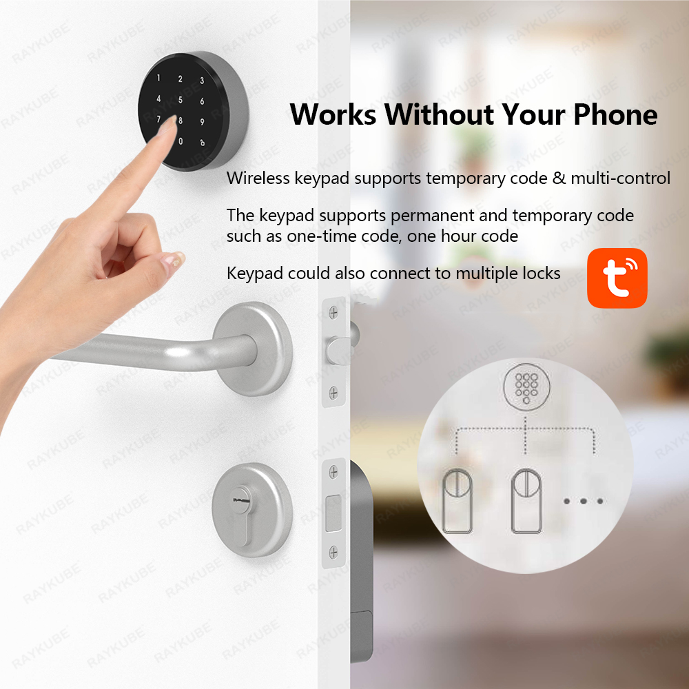 RAYKUBE A1 Pro Tuya BEL Набор  – обзор и цена Smart Door Lock Wifi