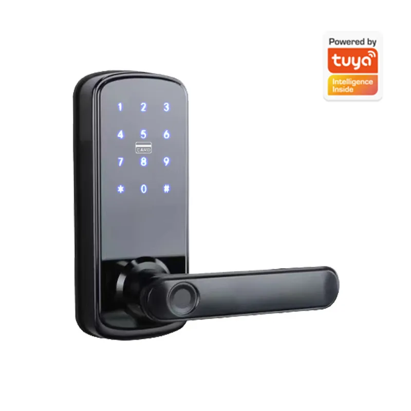 Умный электронный замок для де – обзор и цена Smart Door Lock Wifi